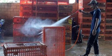 Berikan Mesin Steam untuk Usaha Ayam Potong di Pangkalpinang, Upaya PT Timah Dorong Produktivitas Mitra Binaan