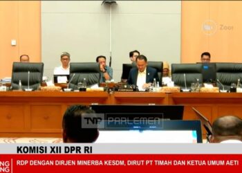 Atasi Kekacauan Harga dan Tambang Ilegal, PT TIMAH Minta Dukungan Penuh DPR
