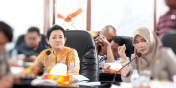 PT Thorcon Disebut Belum Layak Jalankan Proyek PLTN, Rina Tarol: Pulau Gelasa Harus Dilindungi
