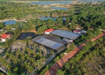 Dari Reklamasi hingga Mangrove, PT TIMAH Tbk Dorong Pemulihan Lingkungan Berkelanjutan