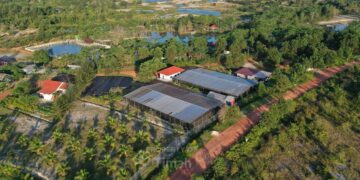 Dari Reklamasi hingga Mangrove, PT TIMAH Tbk Dorong Pemulihan Lingkungan Berkelanjutan