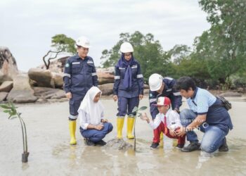 Jaga Ekosistem Pesisir, PT Timah Gandeng Pelajar Tanam Ribuan Mangrove