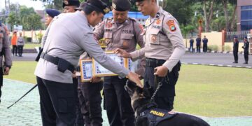 Selain Personel, Peran Penting Satwa K-9 Dinilai Tak Terpisahkan Ungkap Korban Tambang