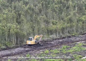Kasus Dugaan Lahan Sawah Jadi Sawit di Bangka Selatan Ini Mulai Diselidiki? Warga Menunggu Kepastian