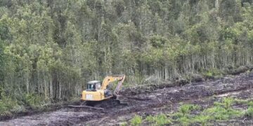 Kasus Dugaan Lahan Sawah Jadi Sawit di Bangka Selatan Ini Mulai Diselidiki? Warga Menunggu Kepastian