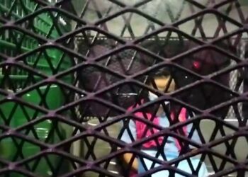 Direktur CV Diratama Jadi Tersangka ke-11 Skandal Korupsi Tata Kelola Timah Bangka Selatan