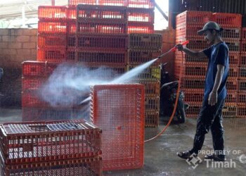 Dari Modal hingga Pameran, PT TIMAH Genjot Daya Saing UMKM