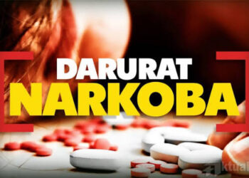 Bangka Belitung di Bawah Bayang Ancaman Narkoba, Siapa Bertanggung Jawab?
