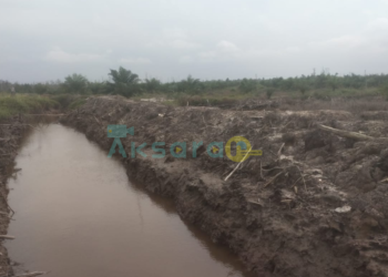 Selain Resapan Air Laut, Kawasan Hutan di Bangka Tengah Diduga Dikuasai Lewat Skema HKM