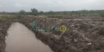 Selain Resapan Air Laut, Kawasan Hutan di Bangka Tengah Diduga Dikuasai Lewat Skema HKM