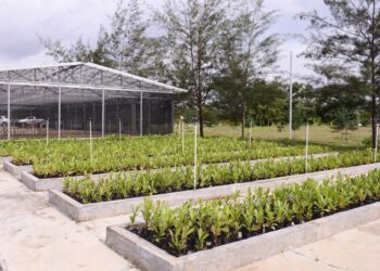 PT TIMAH Reklamasi Ratusan Hektar Lahan Pasca Tambang di Bangka Belitung