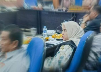 Pelayanan Rujukan Disorot, DPRD Babel Temukan Dugaan Kelalaian di RSUD Dr Eko Maulana Ali
