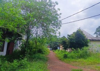 Aset Pemprov Babel Terbengkalai, Komisi II DPRD Geram: 2 Hektar Lebih Dibiarkan Mubazir!