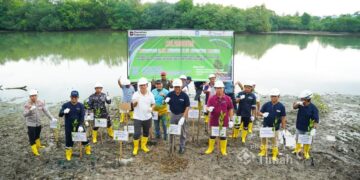 560 Bibit Ditanam, PT TIMAH Tbk Wujudkan Kolong AKHLAK Lebih Lestari
