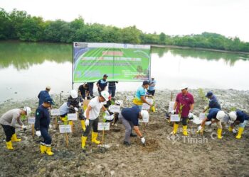 Komitmen Lingkungan, PT TIMAH Dorong Rehabilitasi Kolong AKHLAK Pascatambang