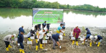 Komitmen Lingkungan, PT TIMAH Dorong Rehabilitasi Kolong AKHLAK Pascatambang