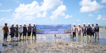 PT TIMAH dan Masyarakat Bergerak Jaga Alam Lewat Penanaman Mangrove di Pantai Mudong
