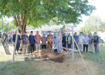 Tujuh Sapi dan Lima Kambing Disembelih di UBB, Polda Babel Turut Berkontribusi