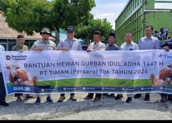 PT TIMAH Tebar 39 Sapi Kurban di Bangka Barat