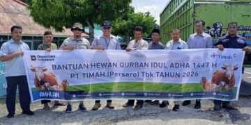 PT TIMAH Tebar 39 Sapi Kurban di Bangka Barat