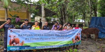 46 Sapi Kurban Disalurkan untuk Warga Pulau Belitung