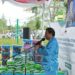Prof Saparudin Salurkan Bantuan Asistensi Rehabilitasi Sosial di Kelurahan Ketapang