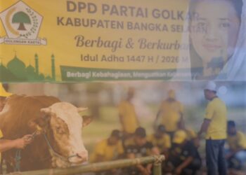 Golkar Bangka Selatan Salurkan Hewan Kurban ke Sejumlah Wilayah, Ada Sapi Berbobot Hampir 1 Ton