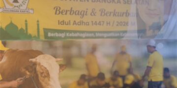 Golkar Bangka Selatan Salurkan Sapi dan Kambing Kurban ke Sejumlah Wilayah, Bobot Capai Lebih 1 Ton