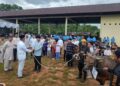 Polda Babel Kurbankan 61 Hewan di Iduladha 1447 H, Kapolda Tekankan Kepedulian dan Silaturahmi