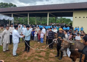 Polda Babel Kurbankan 61 Hewan di Iduladha 1447 H, Kapolda Tekankan Kepedulian dan Silaturahmi