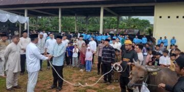 Polda Babel Kurbankan 61 Hewan di Iduladha 1447 H, Kapolda Tekankan Kepedulian dan Silaturahmi