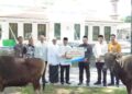 Bank Sumsel Babel Distribusikan Sapi Kurban ke Sejumlah Wilayah