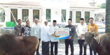 Bank Sumsel Babel Distribusikan Sapi Kurban ke Sejumlah Wilayah