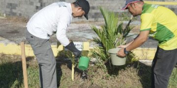 DLH Bangka Tengah Pastikan Ketersediaan RTH Perkotaan Mencukupi, Dorong Peningkatan Ekonomi UMKM