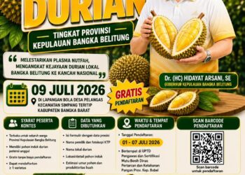 Babel Berburu Durian Terbaik, Pemenang Kontes Kantongi Hadiah Hingga Rp11,5 Juta