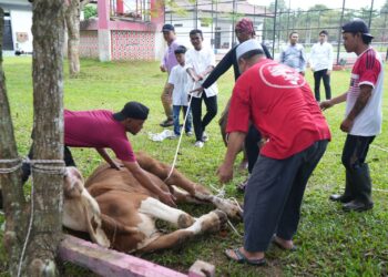 Moment Iduladha Gubernur Hidayat Arsani Berbagi Hewan Kurban ke Panti Asuhan