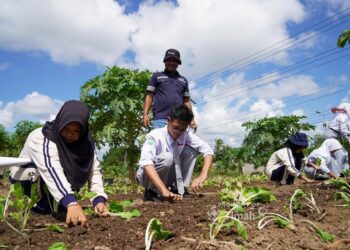 Serunya Belajar di Alam, Pelajar Bangka Diajak Mengenal Reklamasi PT TIMAH