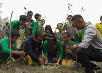 Tak Sekadar Menambang, PT Timah Sulap Lahan Bekas Tambang Jadi Ruang Hijau Produktif