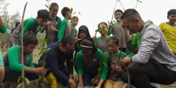 Tak Sekadar Menambang, PT Timah Sulap Lahan Bekas Tambang Jadi Ruang Hijau Produktif