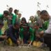 Tak Sekadar Menambang, PT Timah Sulap Lahan Bekas Tambang Jadi Ruang Hijau Produktif