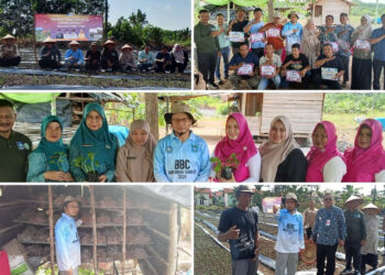Tekan Inflasi, Algafry Rahman Genjot Gerakan Tanam Bawang Merah di Bangka Tengah