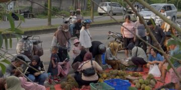 Di Balik Manisnya Durian Babel, Tumbuh Harapan bagi Ketahanan Pangan dan Ekonomi Masyarakat