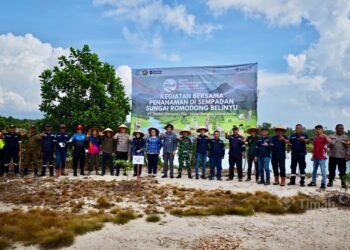 Hijaukan Sempadan Sungai Romodong, PT TIMAH Tanam Ratusan Pohon