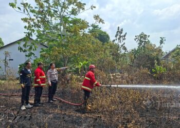 Karhutla Terus Mengintai, PT TIMAH Kerahkan Tim Tanggap Darurat di Sejumlah Wilayah Babel