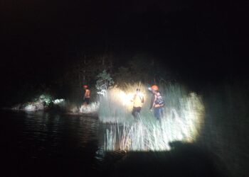 Pria di Belitung Timur Hilang Saat Mencari Udang, Diduga Diseret Buaya