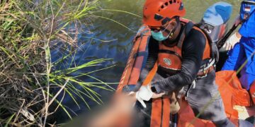 Ada Luka Gigitan di Tubuh Korban, Pencari Udang di Belitung Timur Ditemukan Tewas