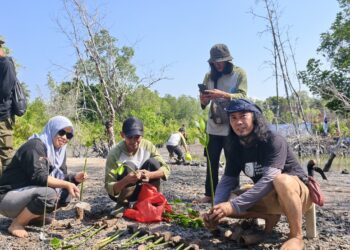 AJI Pangkalpinang Perkuat Komitmen Pelestarian Lingkungan melalui Penanaman Mangrove