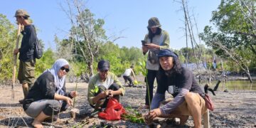 AJI Pangkalpinang Perkuat Komitmen Pelestarian Lingkungan melalui Penanaman Mangrove