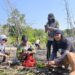 AJI Pangkalpinang Perkuat Komitmen Pelestarian Lingkungan melalui Penanaman Mangrove