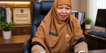 Tingkatkan Produktivitas Petani, DPKP Bateng Bangun Jalan Produksi hingga Salurkan Ribuan Bibit